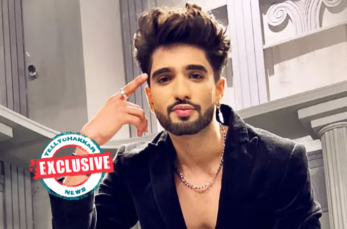 EXCLUSIVE! Lock Upp's Zeeshan Khan to ENTER Naagin 6? 