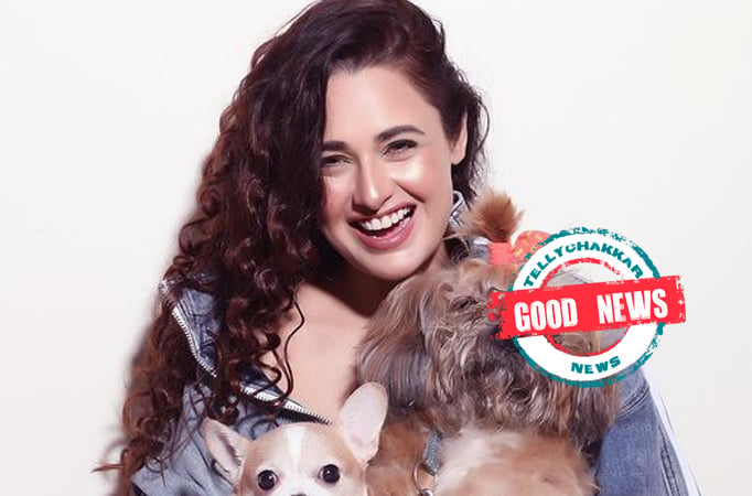 Good News! Yuvika Chaudhary becomes mom, welcomes home a new member