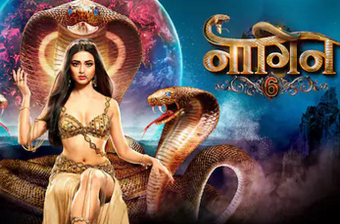 Wow! Dragon and Shesh Naag are back at battle in Naagin 6 