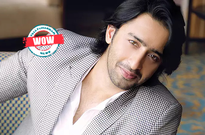 Wow! From being a law student to pursuing his career in acting Shaheer Sheikh's journey is inspirational 