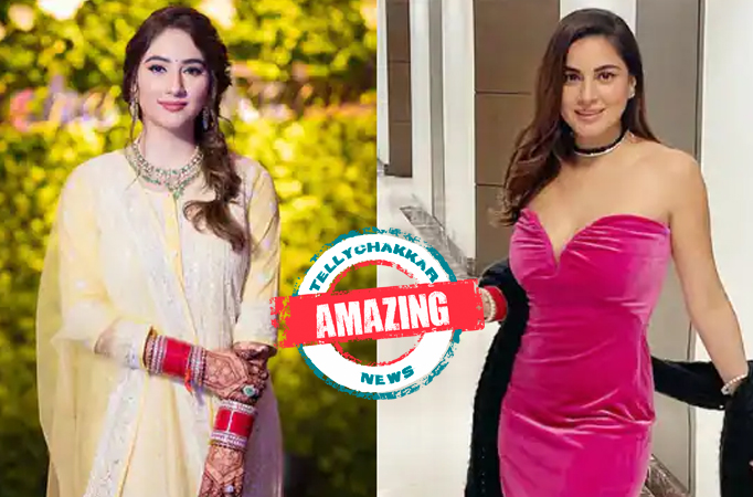 Amazing! From Disha Parmar to Shraddha Arya, TV actresses who played young mommies in television shows