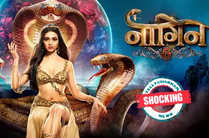 Shocking! Real Naag visits the sets of Colors’ Naagin 6; fans say “Take Care Teju”