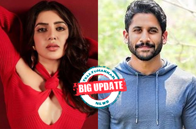 BIG Update! This is how Samantha Ruth Prabhu reacts to demanding Rs 250 crore alimony from Naga Chaitanya