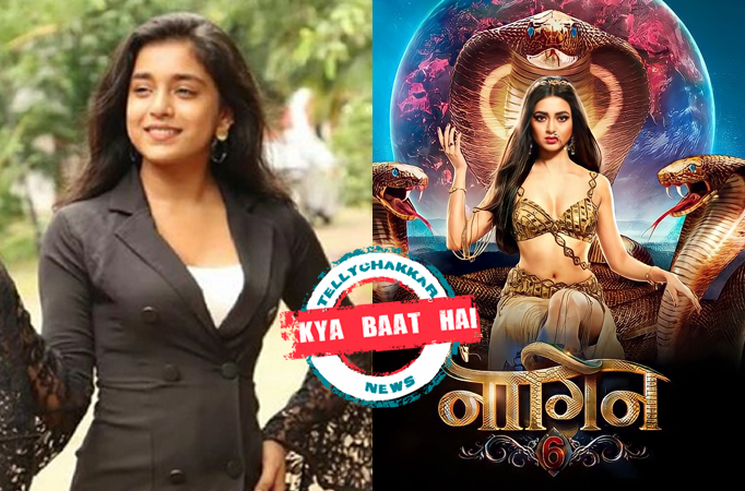 Imlie: Kya Baat Hai! Sumbul Touqeer Khan is the new Naagin of television 