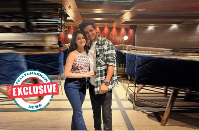 EXCLUSIVE! Pushpa Impossible fame Adish Vaidya on ladylove Revati Lele's support for his profession: Having someone who makes yo