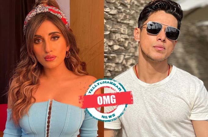 OMG! Akasa Singh finally breaks her silence on her feelings for Pratik Sehajpal