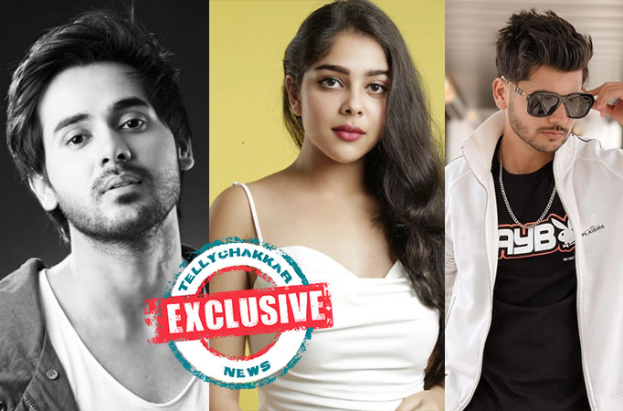 EXCLUSIVE! Yeh Rishta fame Niharika Chouksey, Balika Vadhu 2 fame Randeep Rai and Hero Gayab Mode On actor Abhishek Nigam APPROA