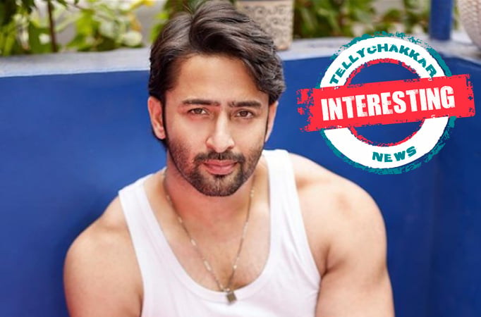 INTERESTING! What makes Shaheer Sheikh's chemistry with his co-stars a huge hit? Fans react 