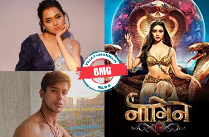 Omg! Tejasswi Prakash and Pratik Sehajpal turn ‘Enemies to lovers’ in Naagin 6?