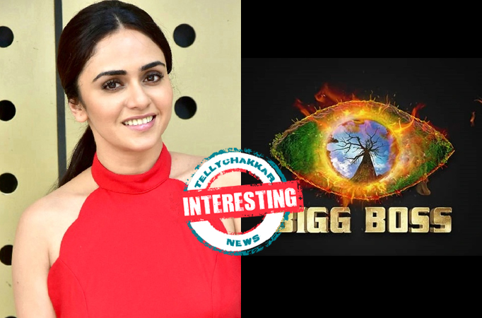 Television, Jhalak Dikhhla Jaa 10, Bigg Boss 16, Amruta Khanvilkar, Salman Khan, Madhuri Dixit, Karan Johar, Nora Fatehi, Manies