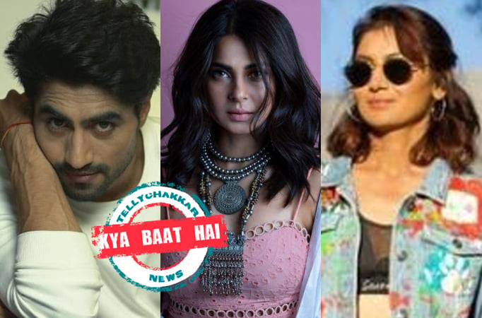 KYA BAAT HAIN! Before Pranali Rathod in Yeh Rishta Kya Kehlata Hai, Harshad Chopda romanced these television actresses in his pr