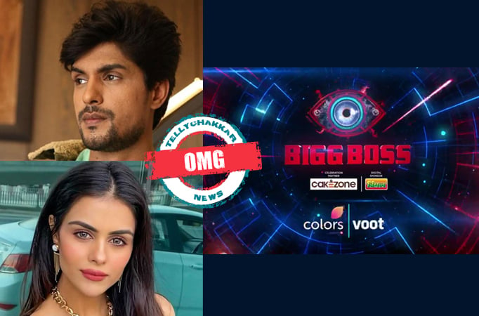 Bigg Boss 16 : OMG! Ankit Gupta breaks silence on his relationship with Priyanka Chahar Choudhary and says “She wanted a future 