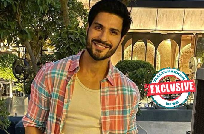 EXCLUSIVE! Vin Rana opens up on Palkon Ki Chhaon Mein 2, says, " The brand is the same, it has just been upgraded", shares about