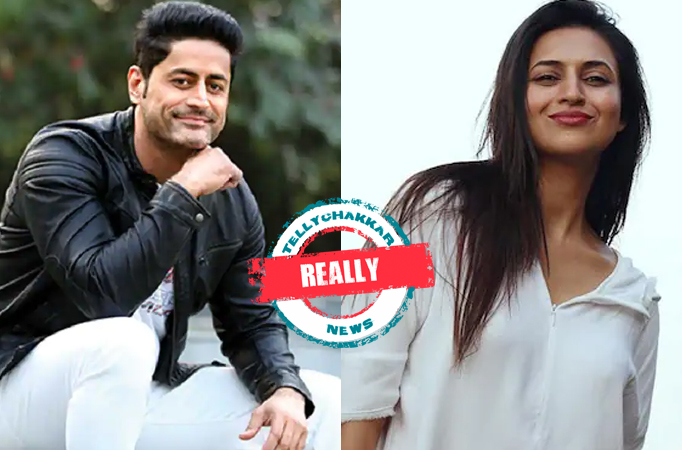 REALLY! From Mohit Raina to Divyanka Tripathi Dahiya; These actors are NOT likely to be part of Bigg Boss