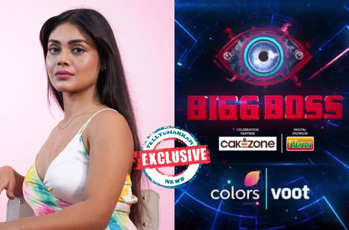 Bigg Boss 16: Exclusive! “Sumbul is not playing the game in the right way and no one can make her understand and I would love to