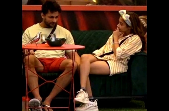 'Bigg Boss 16': Housemates feel Tina will ditch Shalin