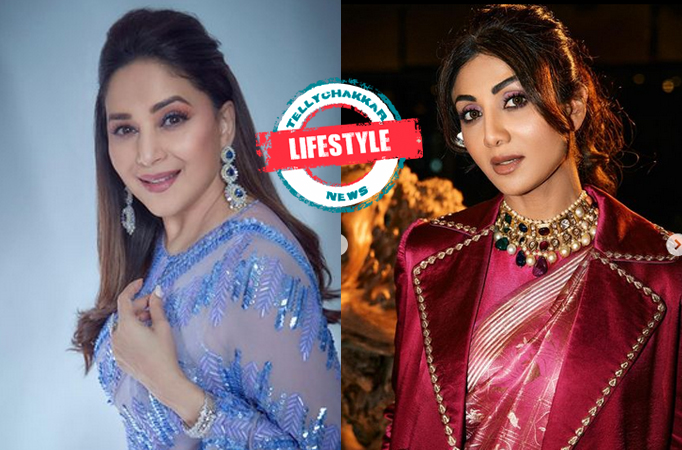 From Madhuri Dixit to Shilpa Shetty, see them flaunting the chiffon saree with grace