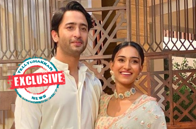 Exclusive! Erica Fernandes and Shaheer Shaikh reveal on collaborating for a project together; the actress reveals when she would