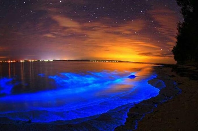 Check out these beautiful beaches that glow in the dark 