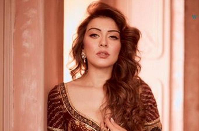 Elegant! Check out these elegant and classy ethnic looks of Hansika Motwani