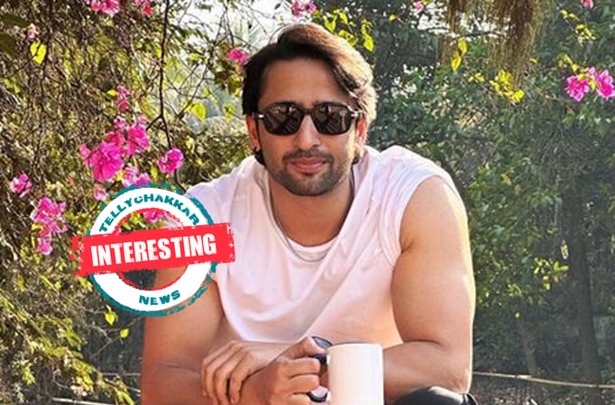 Shaheer Sheikh