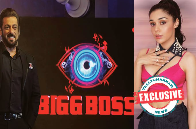 BIGG BOSS SEASON 17 