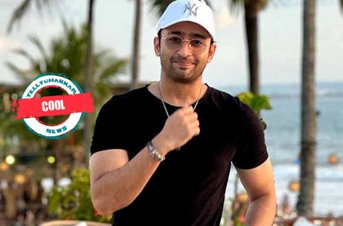 Shaheer Sheikh 