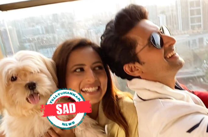 Ravi Dubey and Sargun Mehta