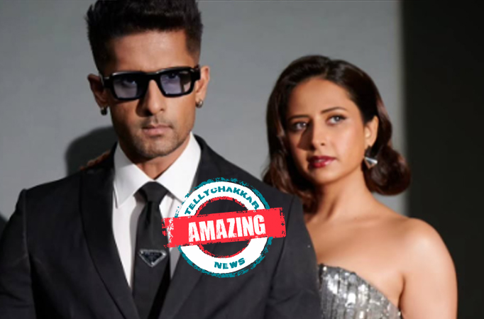 Sargun Mehta and Ravi Dubey