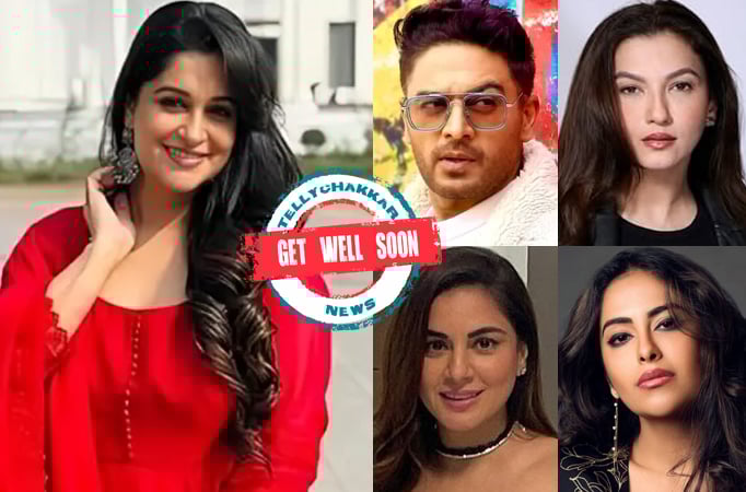 Dipika Kakar Dipika Kakar