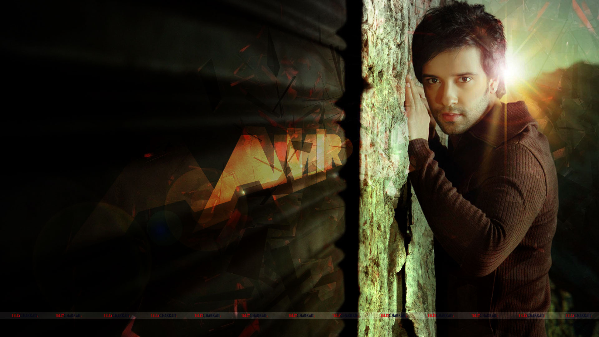 Aamir Ali