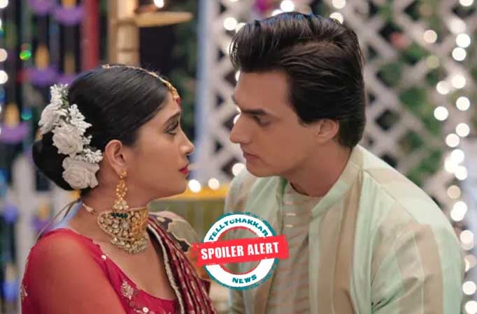 Yeh Rishta Kya Kehlata Hai: Kartik and Naira's happy union