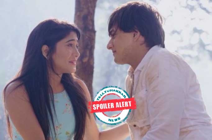 Kartik and Naira to reunite in Star Plus’ Yeh Rishta Kya Kehlata Hai