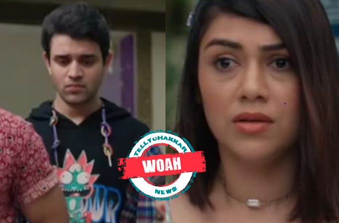 Pandya Store: Woah! A new love story is brewing in the Pandya house; Krish and Shweta come closer to each other