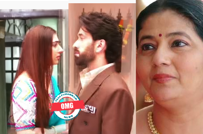 Bade Achhe Lagte Hain 2: OMG! Ram does THIS with Meera leaving Priya hurt