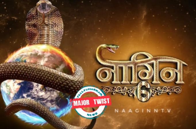 Major Twist! Naagin 6: Shesh Naagin gets into action mode, finally gets her hands on the first target