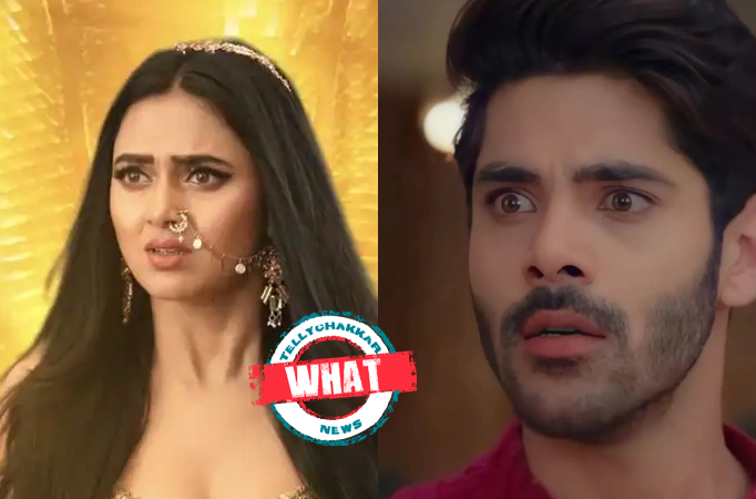 Naagin 6: What! Pratha loses her Supernatural powers, Rishabh’s double role?