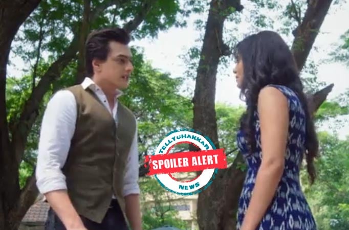 Yeh Rishta Kya Kehlata Hai: Kartik and Naira's birthday surprise plan cheering upset Kairav 