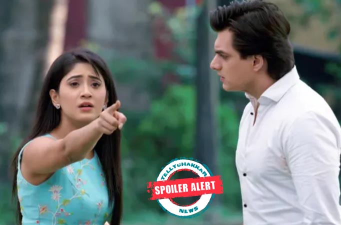 Yeh Rishta Kya Kehlata Hai : Naira confesses love for Kartik 