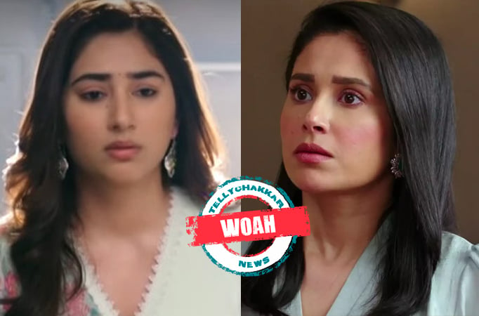 Bade Acche Lagte Hain 2: Whoa! Priya exposed to Nandini’s duplicitous side, finds Nandini’s insecurity bothersome