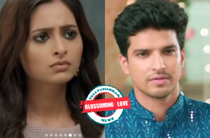 Yeh Rishta Kya Kehlata Hai: Blossoming Love! Aarohi and Neil have developed feelings for one another post the leap?