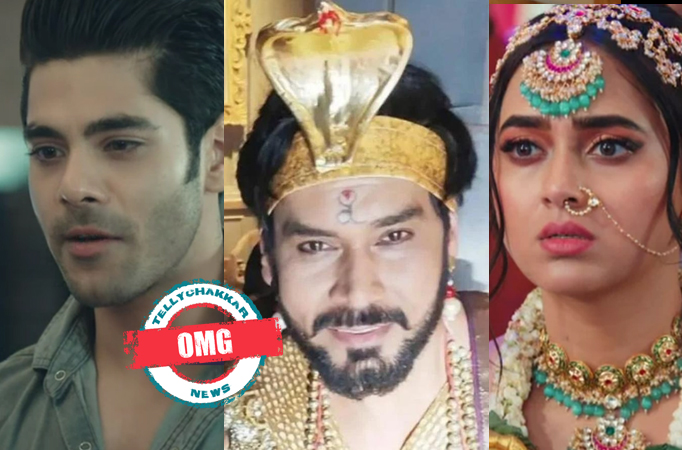 Naagin 6: OMG! Pratha wants King Takshaka to grant her a wish, wants to resurrect Rishabh