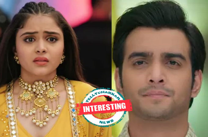 Anupamaa: Interesting! Adhik’s truth to be revealed to Pakhi by THIS person