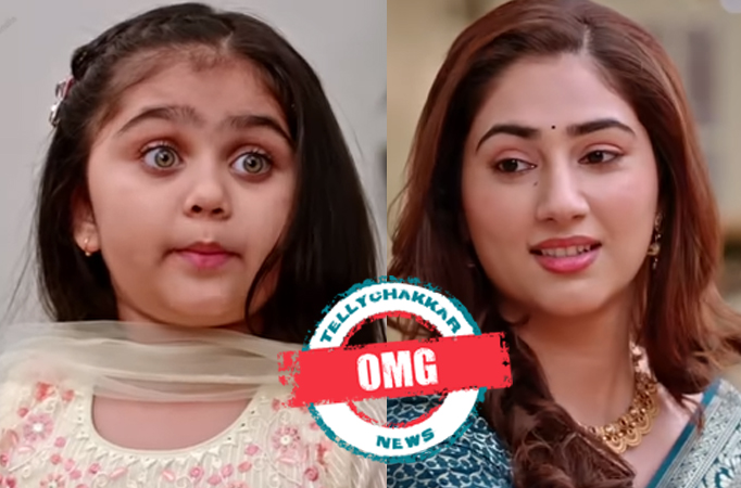 Bade Acche Lagte Hain 2: OMG! Priya to escape with Pihu over a misunderstanding?