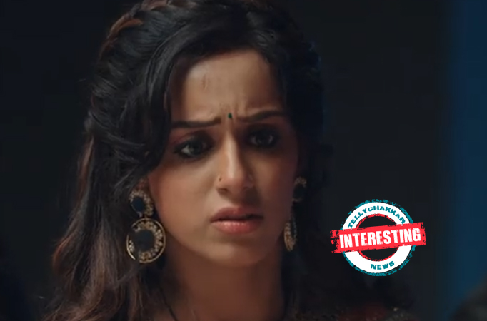 Yeh Hai Chahatein: Interesting! Preesha gets a clue after meeting Nalini