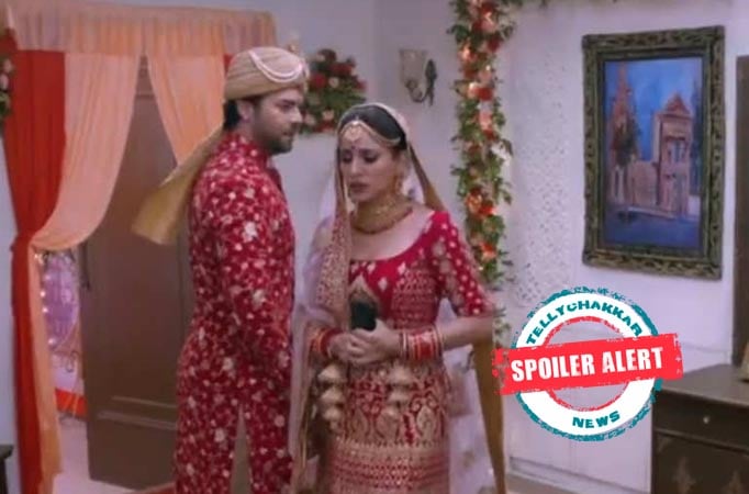 Kundali Bhagya: Preeta requests Prithvi to backout