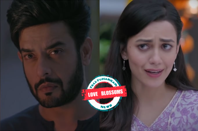 Zindagi Mere Ghar Aana: Love Blossoms! Pritam excited about Amrita’s comeback decision to Delhi