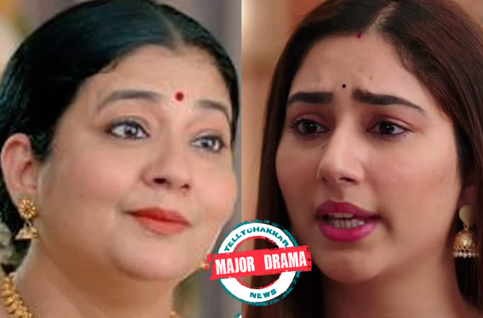 Bade Achhe Lagte Hain 2: Major Drama! Meera lies to Priya and tells her to trust her