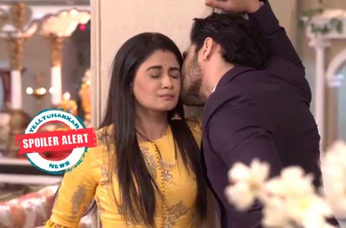 Purab and Disha’s romantic dance leaves Aliya angry in Zee TV’s Kumkum Bhagya