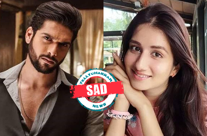 SAD! Raghav and his ex-love Eesha part ways ONCE AGAIN in Star Plus' Mehndi Hai Rachne Wali 